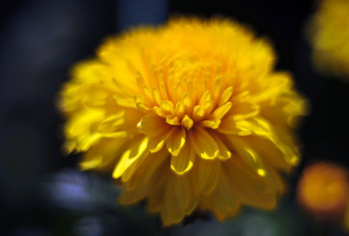 Объектив Гелиос 40-2 для FujiFilm FX