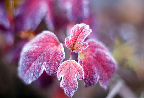 Объектив Гелиос 40-2 для FujiFilm FX